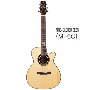 AOSEN Nine-clored Deer(M-6C): Spruce and Walnut 36 inch Children’s Mini Folk Coustic Guitar