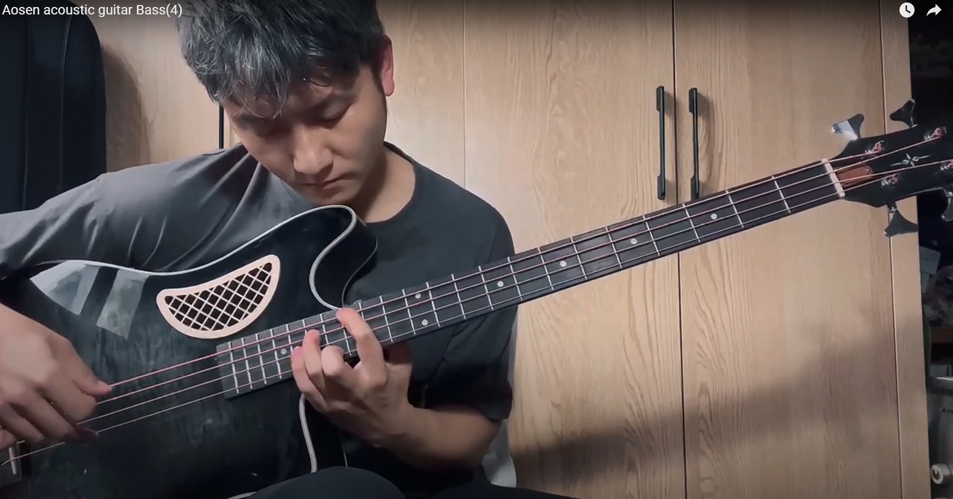Aosen acoustic guitar Bass（2）