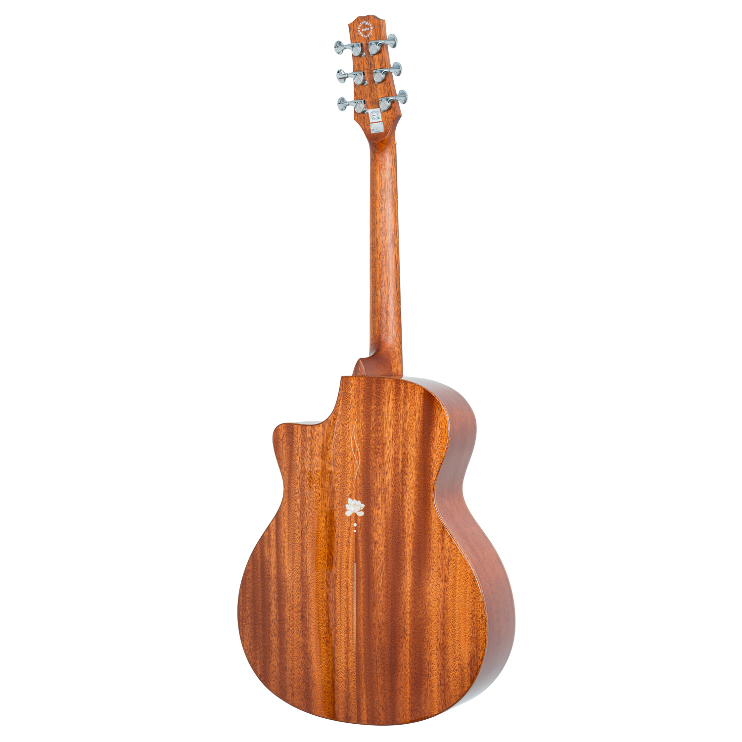 AOSEN Magnolia in Early Spring (Yulan Chunxiao )GA-800C: 40 inch entry-level folk acoustic guitar, the first choice for beginners
